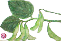 f0008597_824278.jpg