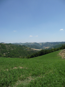f0106597_352882.jpg