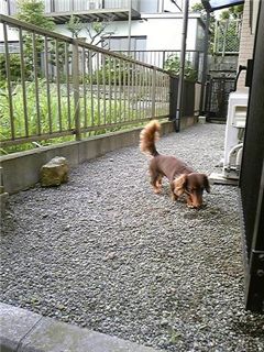 f0198909_20334199.jpg