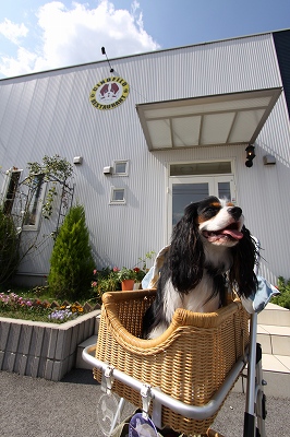 b0072515_1203420.jpg