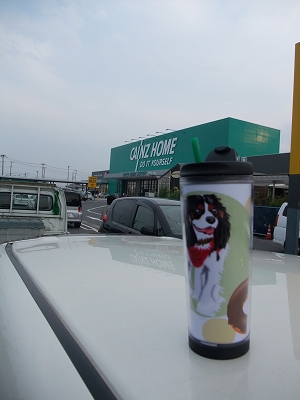 b0072515_1325728.jpg