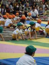 d0017518_17261594.jpg