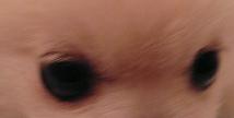 b0167519_11132538.jpg