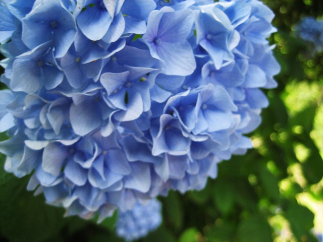 f0031722_2231765.jpg