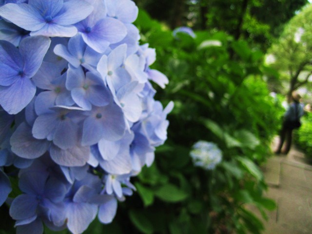f0031722_22581998.jpg
