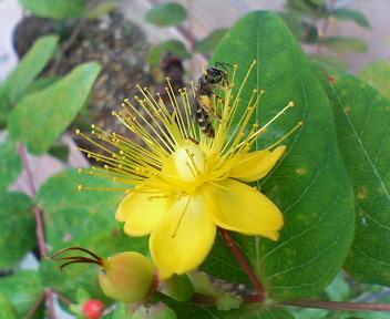 f0036223_8562529.jpg