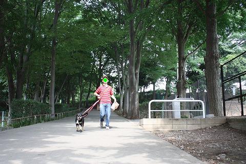 e0162524_12263964.jpg