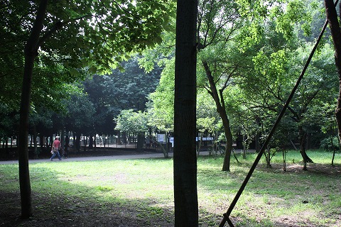 e0162524_12275482.jpg