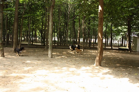 e0162524_12351763.jpg