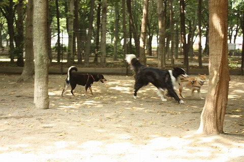 e0162524_12382510.jpg