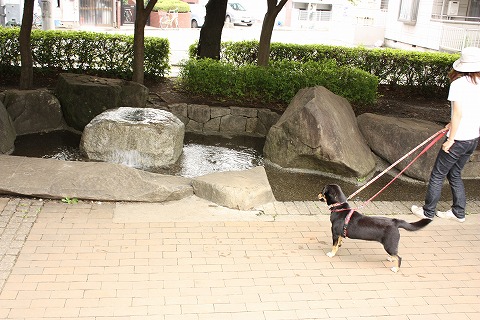 e0162524_1241246.jpg