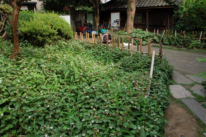 f0040525_2233177.jpg