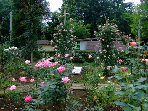 f0147025_21272714.jpg