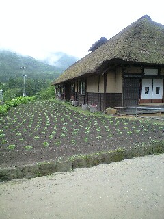 e0164226_23104280.jpg