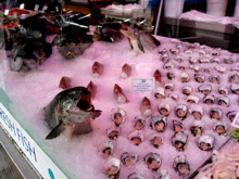 c0148627_231578.jpg