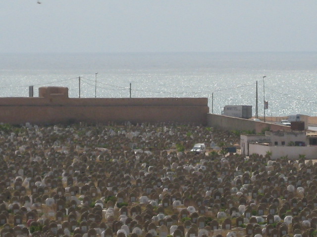 d0147727_7181151.jpg