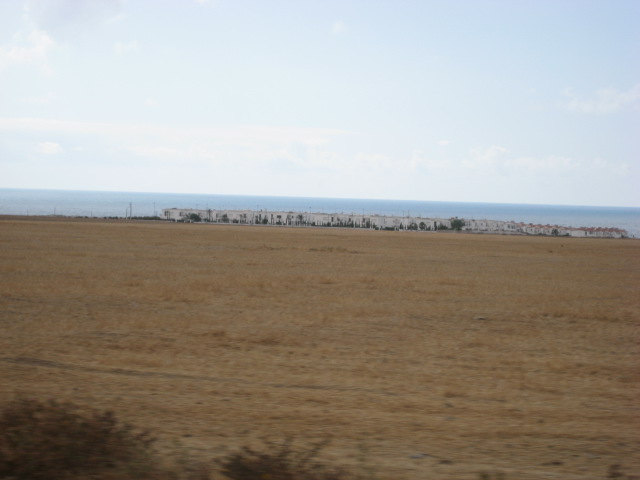 d0147727_7204622.jpg