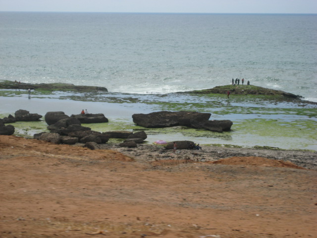 d0147727_720854.jpg