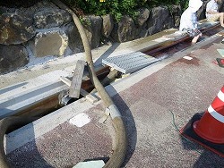 d0086228_1635952.jpg
