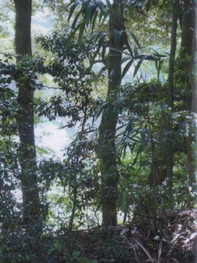 c0165033_7554537.jpg