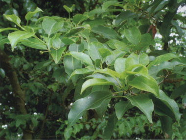 c0165033_7563753.jpg