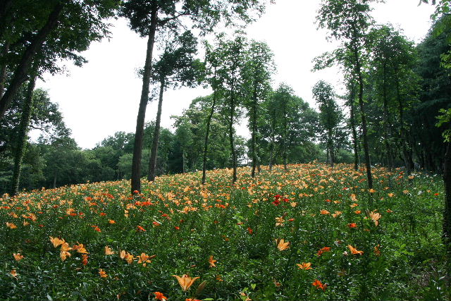 e0064133_23561929.jpg