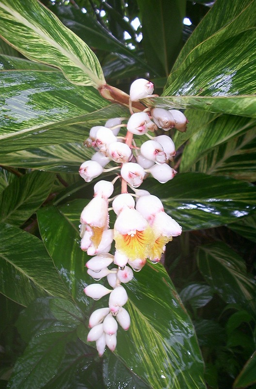 e0062635_17364037.jpg