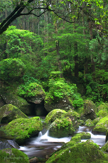 e0083238_2212129.jpg