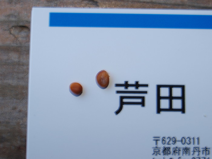 c0072843_2022157.jpg