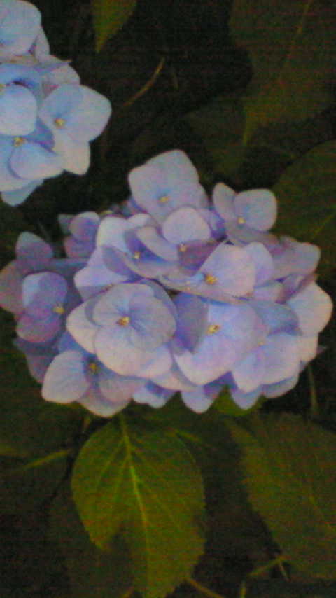 f0108254_22575299.jpg