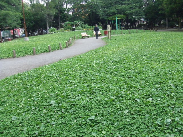 e0129656_22281549.jpg