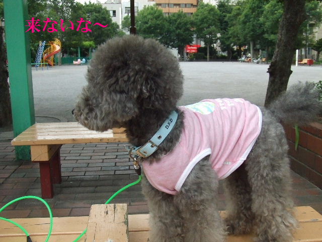 e0129656_222986.jpg
