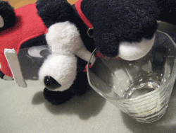b0159557_22592657.gif