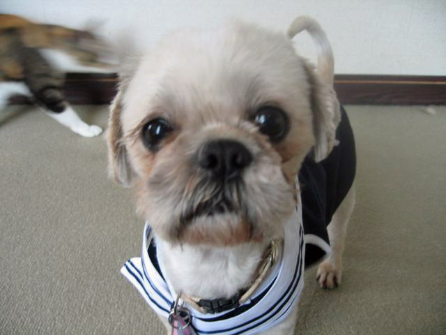 c0162160_128189.jpg