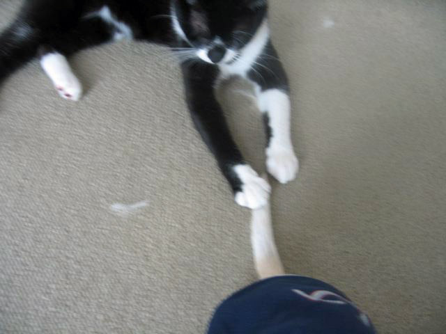 c0162160_1405222.jpg