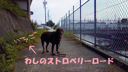 d0120665_22241360.jpg