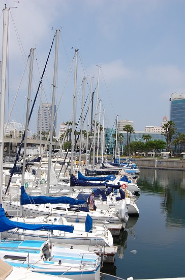 e0128367_1472713.jpg