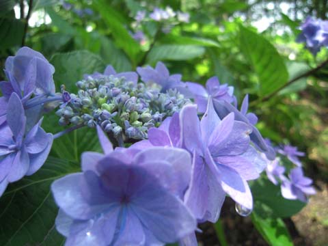 e0100469_0171437.jpg