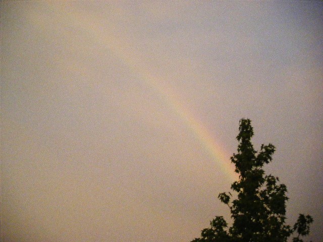 f0207970_85194.jpg