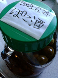 e0158773_0452729.jpg
