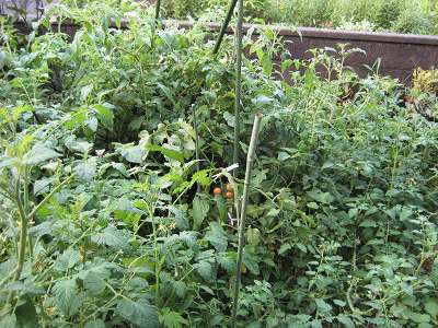 f0003174_13594251.gif