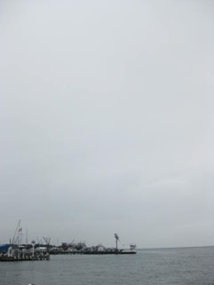 f0056476_21573143.jpg