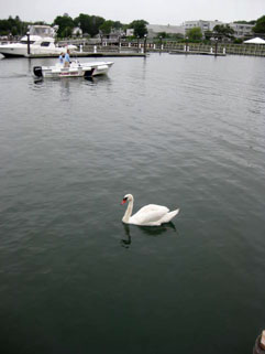 f0056476_21575535.jpg