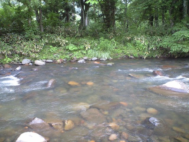 a0093677_15402812.jpg