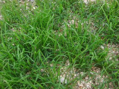 d0116578_2251445.jpg