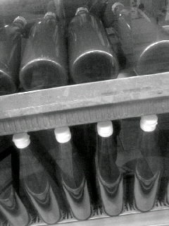 f0100480_20402934.jpg