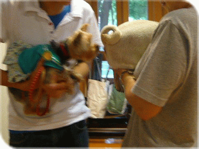 f0018384_10384135.gif