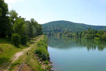 b0107891_7191776.jpg