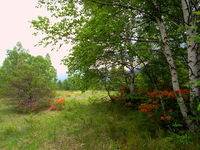 a0093592_1235693.jpg