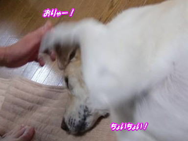 c0028792_23361236.jpg